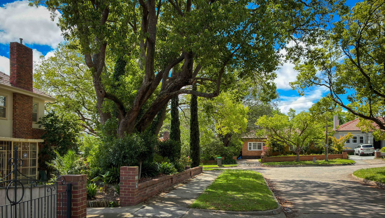 Canopy tree controls